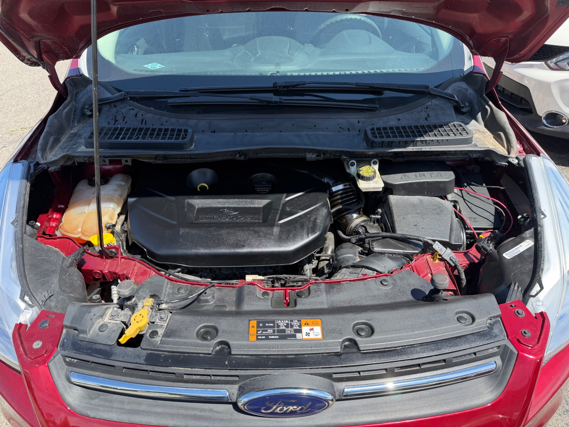Ford Escape engine bay degreased and dressed